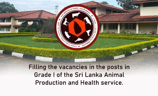 Department of Animal Production and Health