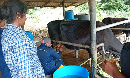 Department of Animal Production and Health