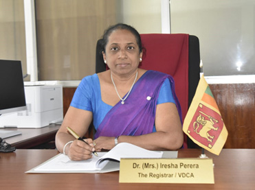 director